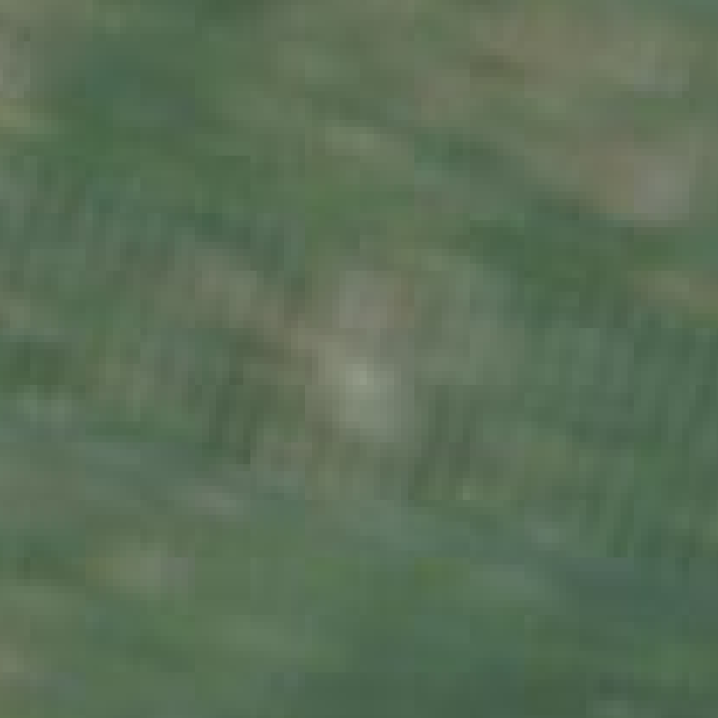 Richland Parish AI Campus true-color satellite scene captured on 2026-09-06