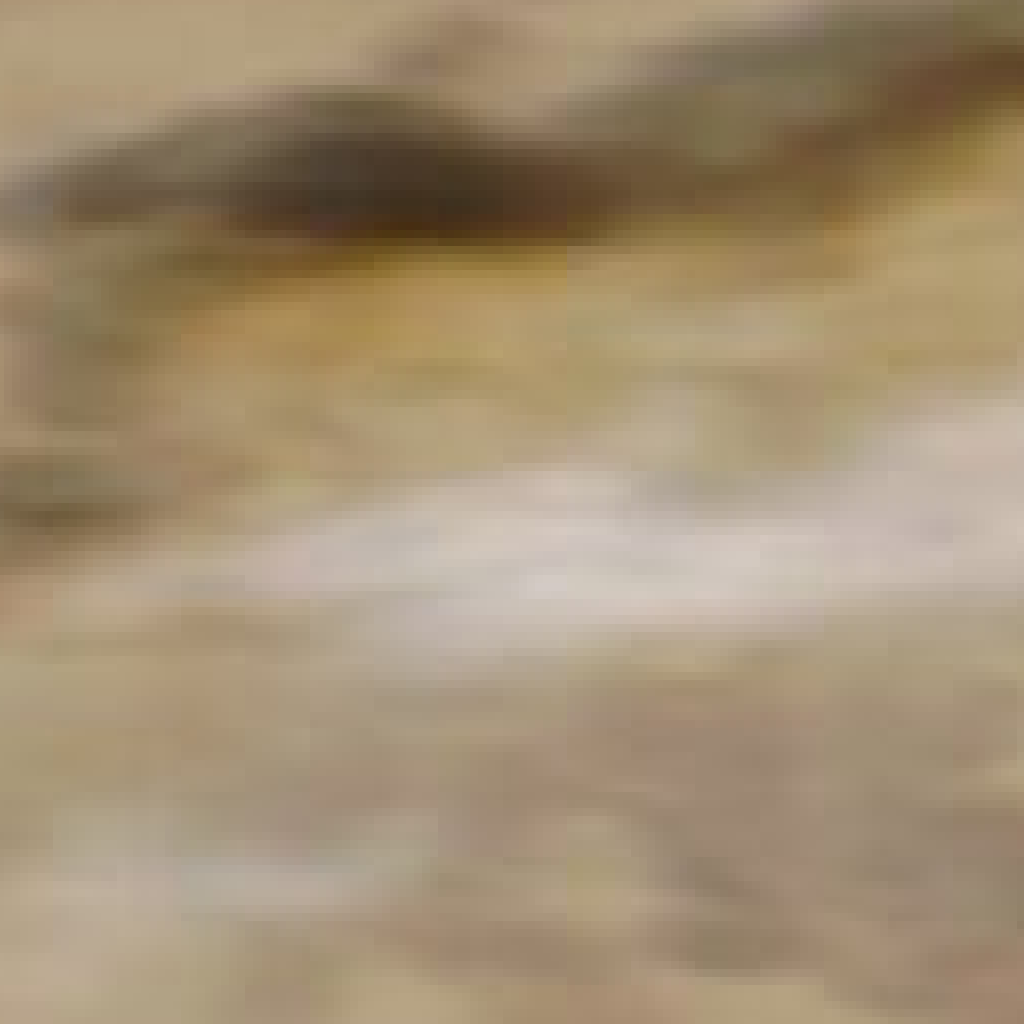 Oyu Tolgoi Copper Complex true-color satellite scene captured on 2026-10-19