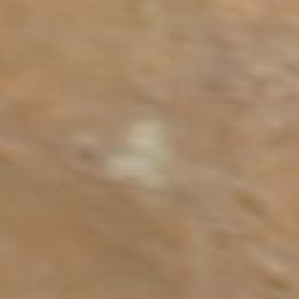 Pilgangoora Lithium Operation true-color satellite scene captured on 2026-10-19