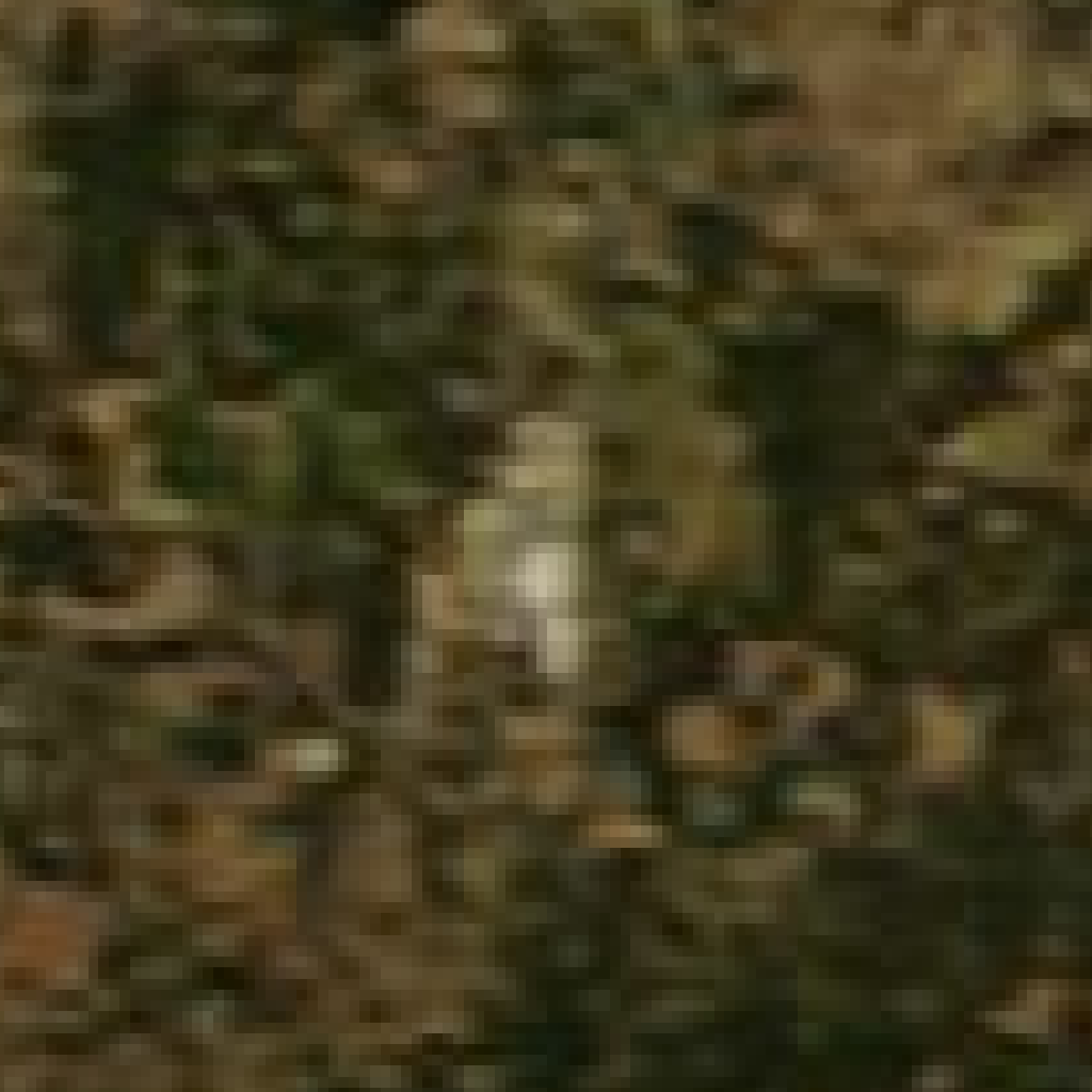 Richland Parish AI Campus true-color satellite scene captured on 2026-10-18